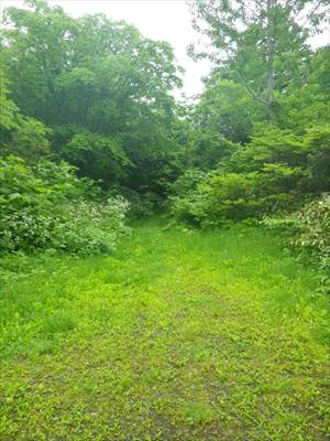 旧登山道の入り口