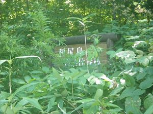 雨量の多かった今年は笹や草の伸びがとっても早く、看板はまったく見えない状態でした。