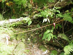 大雨などにより沢に水が流れている場合もあるので、状況に合わせた判断をお願いいたします。