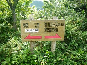 ポン山・姫沼ハイキングコースは、ポン山ハイキングコース途中にある分岐から片道約2時間半の長丁場のハイキングコースになります。