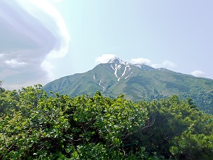 利尻山がはっきりと見えました