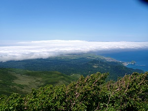 登山中振り返ると、鴛泊市街が一望