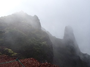 山頂からの景色