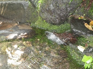 甘露泉水