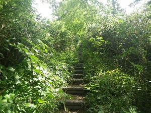 よく整備されたポン山の歩道