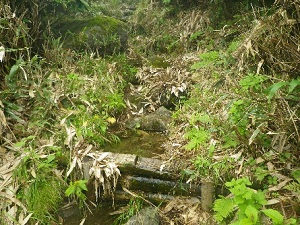 水たまりのある登山道