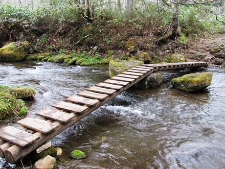 沢を渡る木橋