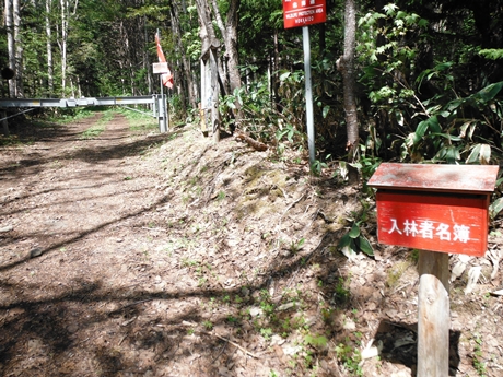 豊林荘コースの歩道入口手前