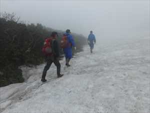 歩道が残雪に埋もれている涸れ沢