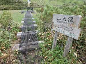 さっそく歩道の利用者