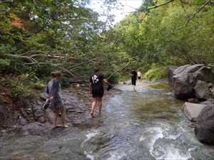 外国人も楽しむカムイワッカ湯の滝