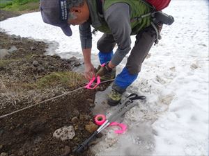 悪天候時でも歩道の入り口が分かりやすいようにピンクテープを取り付け目立たせる処置をしました。