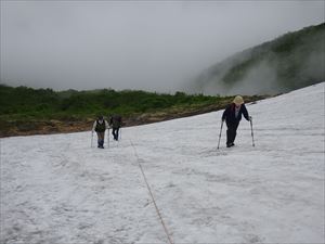 お花畑分岐からは岩清水への直登ルートをたどり、山頂まで巡視です。