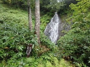 木隠れの滝はいつもよりも増水した状態で、勢いよく流れ落ちていました。