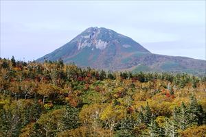 遊歩道入口近くからの羅臼岳