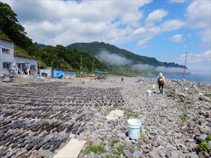 番屋の前を通過する際は干し場に立ち入らないようにし、浜の端っこを横切っていきます。