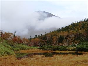 長靴は必需品です