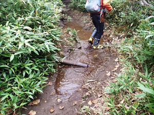 羅臼湖遊歩道