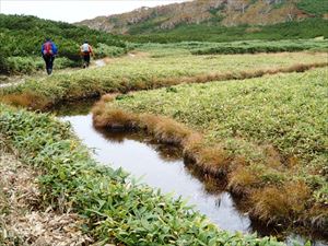 9月最初には完全に枯れていた、三の沼と四の沼の間にある湿原の水。