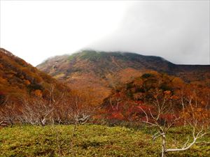 泊場から観た羅臼岳。