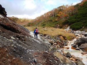 川を渡ると沢の左側を登ります。