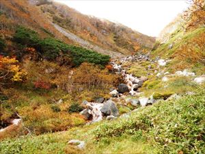 登山川の出合いから泊場方向の写真。