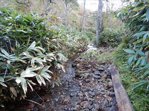 歩道部分にはたくさんの石が流れ込んでいたので、木道は一旦脇に寄せ石の上を歩けるように処理を施して当日の巡視は終了しました。