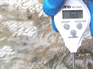 午前中の気温は5℃ほど、気温の低さと増えた水量のため、夏場の温かい時には、上流部で硫黄質の天然の湯が流れ込み30℃位になる場所ですが、水温は16℃ほどでした。