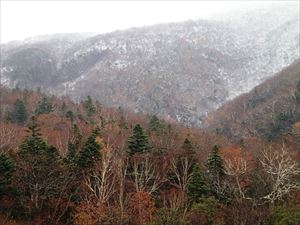 知床林道の途中から。標高400メートル位から雪が積もっている感じです。