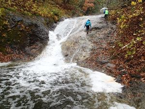 カムイワッカ湯の滝は、昨日からの雨と山の雪で水量が通常の倍以上ありました。