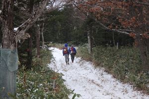 雪をふみしめ、柵へ向かいます。