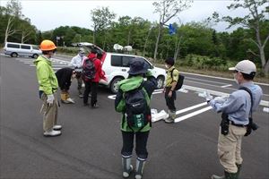 今日は知床世界自然遺産地域の関係者でフレペの滝周辺に自生する外来植物・アメリカオニアザミの駆除を行いました。