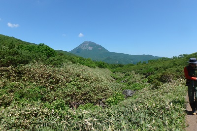 沼周辺の湿地