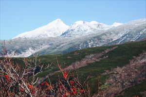 弥三吉水周辺からは雪化粧をした知床連山がよく見えました。