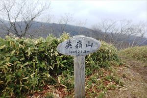 登り始めてから1時間半ほどで山頂に到着となりました。