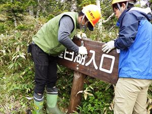 入林箱と羅臼湖入口の看板設置作業を行い、無事完了しました。羅臼湖周辺の植物は例年より季節が早く進んでいるようです。