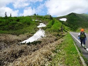 道路脇では所々で残雪が見られ、涼を感じます。