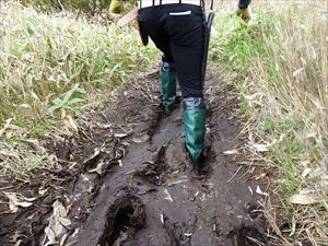 羅臼湖歩道は沼や湿原の近くを歩くため、多くのぬかるみがあります。