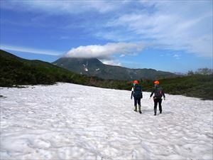 現在、涸れ沢周辺は歩道が雪に埋もれており大雪渓となっています。