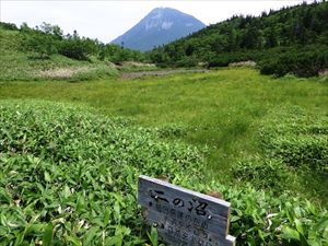 二の沼の様子