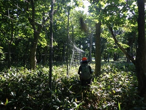 防鹿柵の巡視