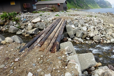 修復後の木橋