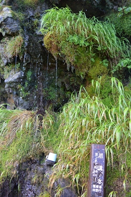 山頂直下の岩清水