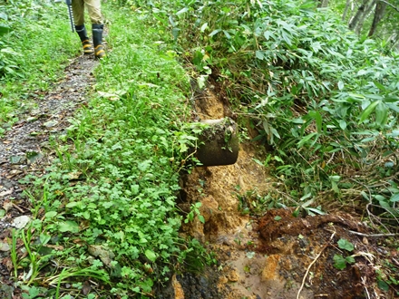 知床国立公園羅臼温泉野営場から羅臼岳羅臼温泉登山口へ向かう歩道