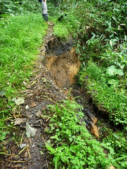 歩道ごと崩落