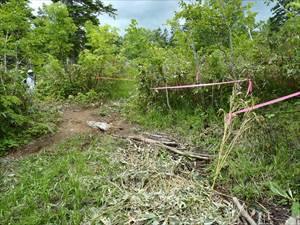 歩道整備を暑寒別岳清掃登山の皆さん（増毛山岳会と留萌南部森林管理署の合同行事）が行ってくれました。