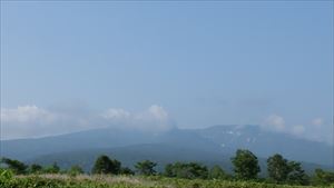 暑寒別岳山頂までのパトロールを行いました