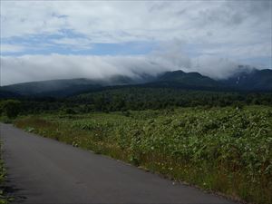 今日の暑寒別岳は曇りで山頂は見えませんでした。