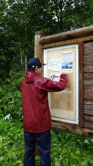 本日は朝から雨模様だったため無理をせず、まず箸別歩道入口にある入林Boxの確認を行い、併せて関係団体から山岳遭難防止を訴える啓発リーフレットが届いたことから、ラミネートして歩道入口掲示板に貼り出す作業を行いました。