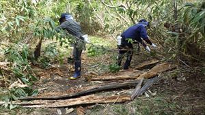 森林内の癒やし効果を存分に浴びているため、作業も軽快に進みました。